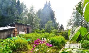 Дом 30м², 2-этажный, участок 7 сот.