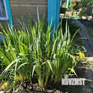 Дом 38м², 2-этажный, участок 6 сот.