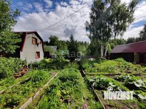 Дом 50м², 2-этажный, участок 6 сот.  