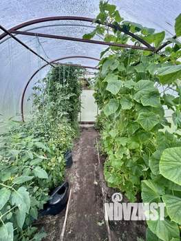 Дача 16м², 2-этажный, участок 6 сот.  