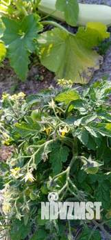 Дом 64м&sup2;, 2-этажный, участок 14 сот.  