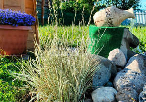 Дом 35м&sup2;, 2-этажный, участок 6 сот.  