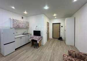 Студия квартира, на длительный срок, 22м2, 3/14 этаж