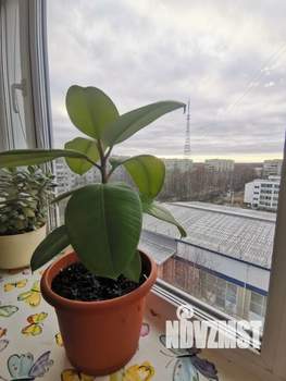 2-к квартира, вторичка, 51м2, 9/9 этаж